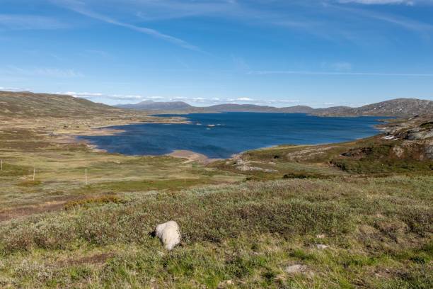 istock Beautiful landscape in Jotunheimvegen, Norway 1453929039