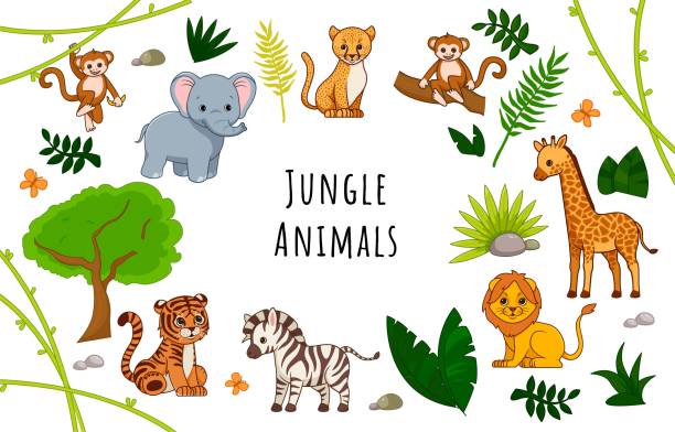 Jungle with animals Jungle with animals. Poster or banner for website. Zebra, giraffe and elephant. African savanna, fauna and wild life. Foliage and animals. Greeting postcard design. Cartoon flat vector illustration liana stock illustrations