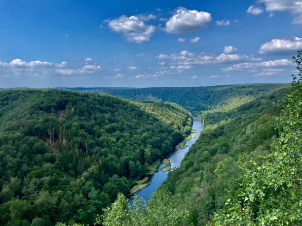 istock River between forests on hills in the morning 1453930947