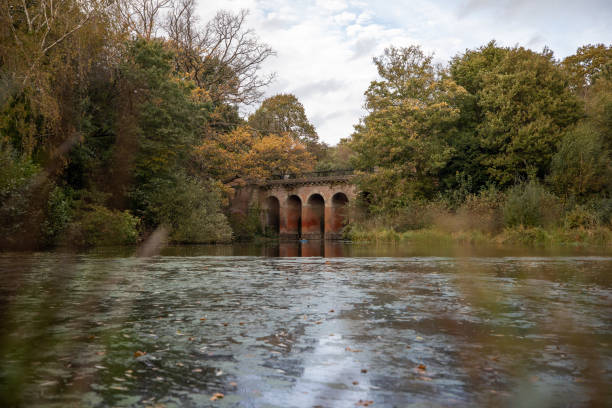 istock Low angle view through the grass of an old stone bridge on a tranquil river among the greenery 1453932506