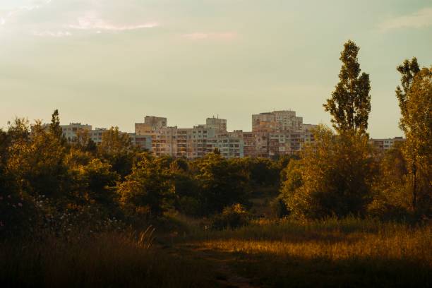 istock Park with trees on meadows with house buildings on the horizon under light sky 1453932682