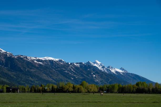 istock Landscape of grass plain and mountain range in the background 1453933314