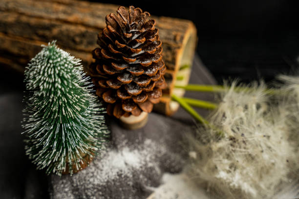 istock Shallow focus shot of pine cone and
Argyroxiphium subsp subsp with a blurred background 1453933527