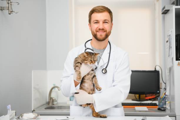 istock Handsome young veterinarian holding cat in clinic 1453933599
