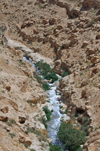 istock Closeup of a river in the mountain 1453933812