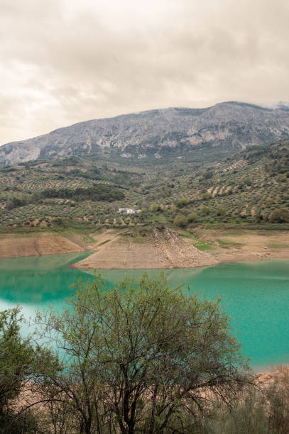 istock Quiebrajano Swamp Reservoir 1453934659