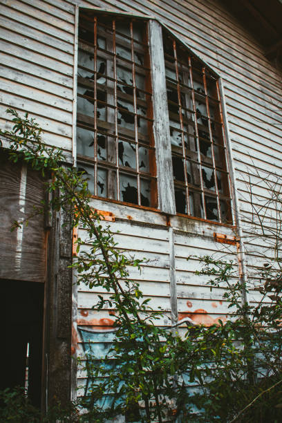 istock Vertical shot of an abandoned urbex 1453934919