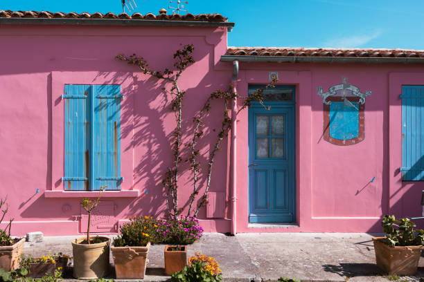 istock Branches with plants and flowers against pink walls 1453935029