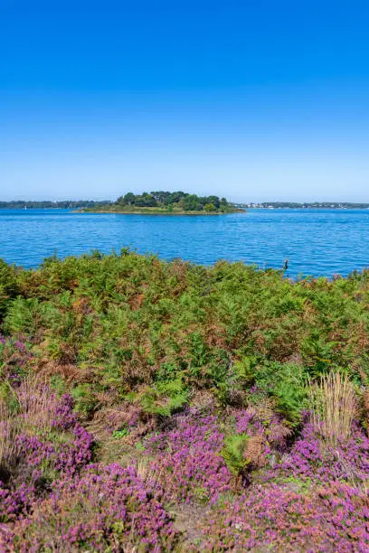 Photo of Ile-aux-Moines in the Morbihan gulf