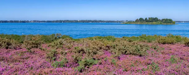 Photo of Ile-aux-Moines in the Morbihan gulf