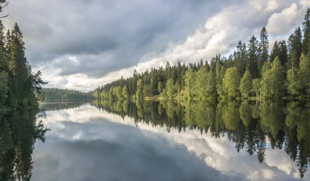 istock Forest trees reflecting on a calm lake water on cloudy day 1453939229