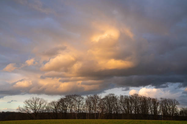 A landscape view of a field at sunset