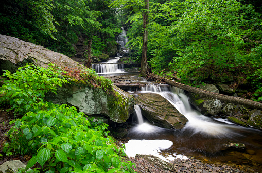 A Ricketts Glen State Park spring waterfall green lush peace