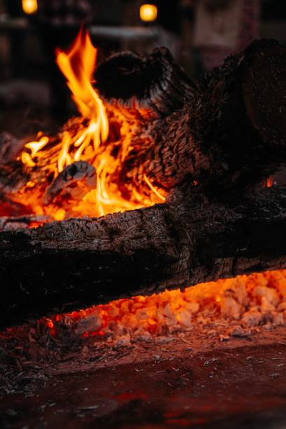 istock Vertical shot of burning fire in the fireplace 1453939504