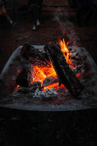 istock Vertical shot of burning fire in the fireplace 1453939507
