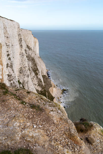 vertical shot of white cliffs dover against the seascape in national park trust in kent, uk - white cliffs imagens e fotografias de stock