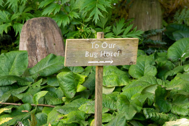 istock Wooden garden sign pointing to Bug Hotel 1453939873