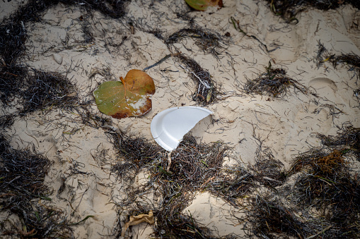 A shot of plastic waste on the beach in the Dominican Republic.