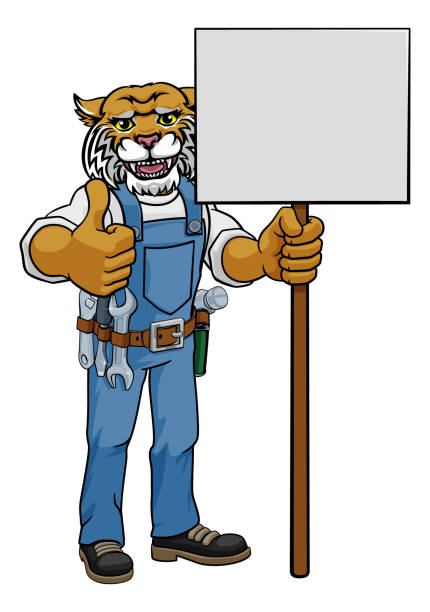 illustrazioni stock, clip art, cartoni animati e icone di tendenza di wildcat cartoon mascotte tuttofare holding segno - thumbs up repairman human thumb electrician