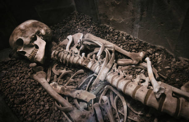 un vecchio scheletro umano che giace in una bara di pietra o in un sarcofago - stone coffin foto e immagini stock