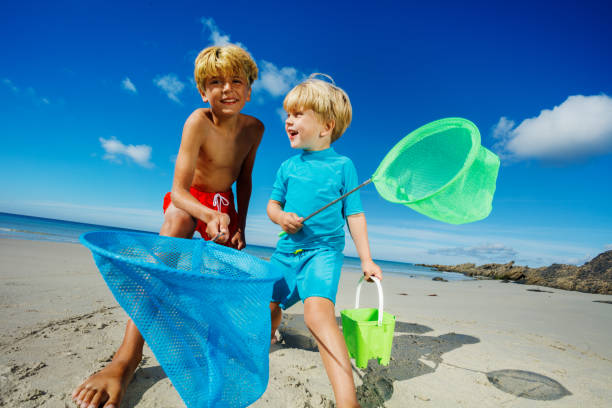 istock Two happy boys stand with butterfly nets catching critter 1453951665