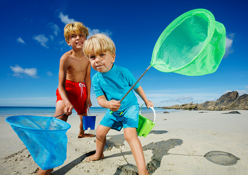 Two smiling curious boys, brothers stand with butterfly nets catching critters on the sand ocean beach during low tide