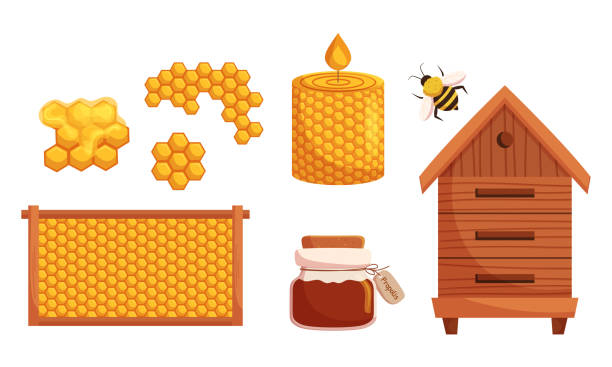 illustrations, cliparts, dessins animés et icônes de définir la production ou l’équipement de miel et de rucher. nids d’abeilles, insecte abeille, bocal en verre, bougie, ruche en bois - spoon honey cute jar