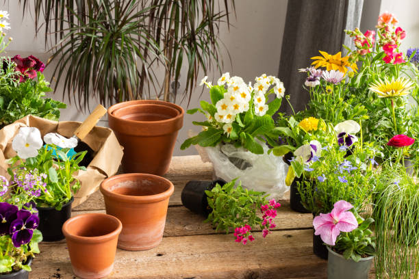 istock Spring decoration of a home balcony or terrace 1453954360