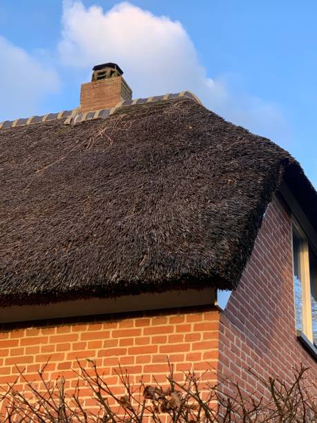 istock Thatched roof and chimney 1453957900