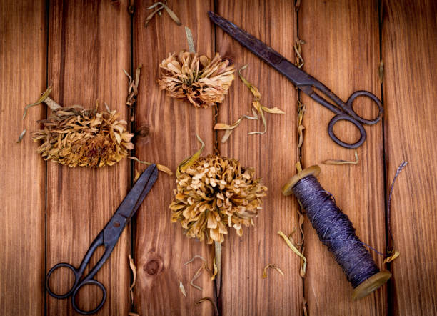 Vintage floristic background, bouquet fresh cut flowers, antique scissors and a rope on wooden table. Selective Focus. Copy Space.