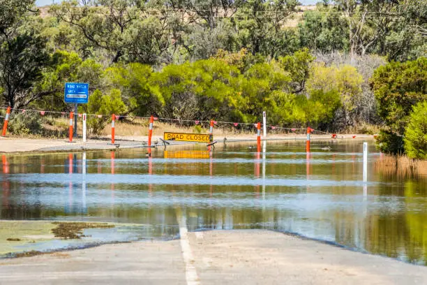 Temporary Road Closed sign as rising floodwaters inundate the main Sedan to Swan Reach Road leading to the ferry crossing on the River Murray in South Australia. The water is rising faster than the authorities can adjust the road closed signs. Birds congregate at the waters edge, enjoying the cool on a hot day. Dec 31, 2022