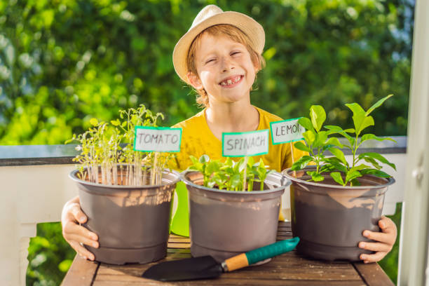 istock The boy is doing gardening on his balcony. Natural development for children 1453961637