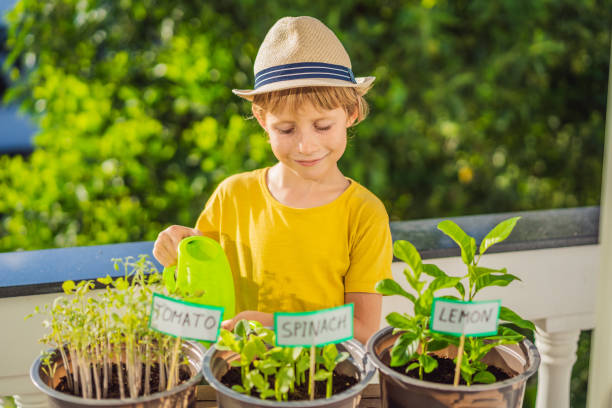 istock The boy is doing gardening on his balcony. Natural development for children 1453961641