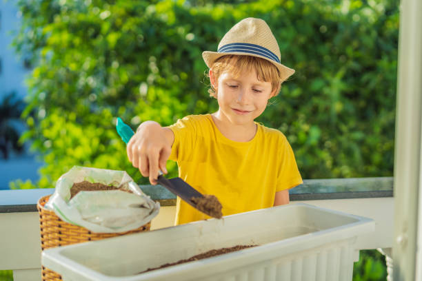 istock The boy is doing gardening on his balcony. Natural development for children 1453961889
