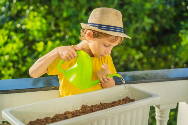 The boy is doing gardening on his balcony. Natural development for children