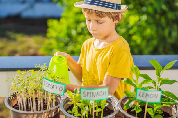 istock The boy is doing gardening on his balcony. Natural development for children 1453962174