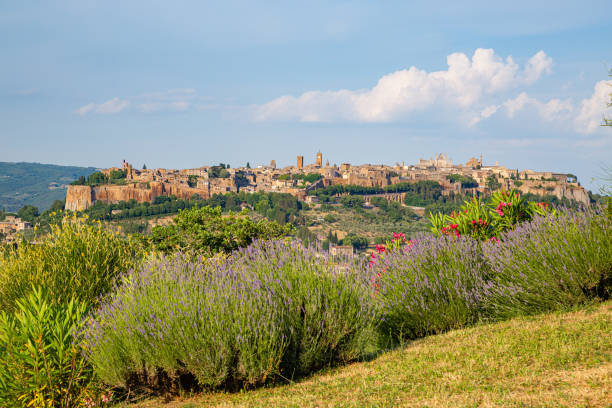 Beautiful view of the old town of Orvieto, Umbria, Italy. Beautiful view of the old town of Orvieto, Umbria, Italy. orvieto stock pictures, royalty-free photos & images