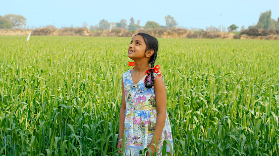 A medium shot of a small village girl in a wheat field