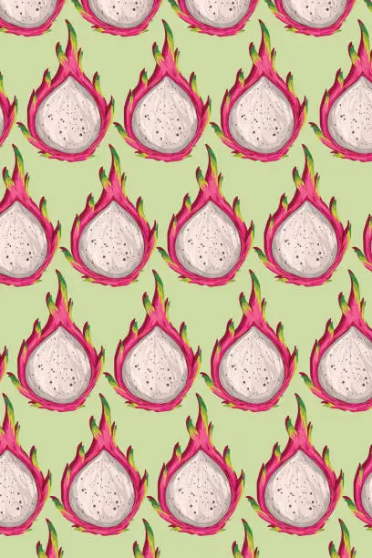 Vector illustration of Poster of dragon fruits.