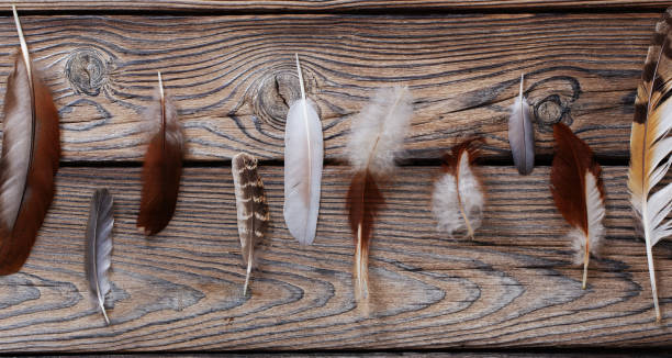 istock color feathers on old wooden background 1453965109