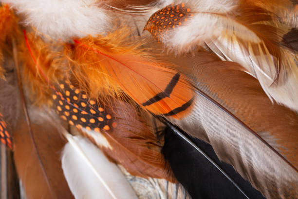istock color feathers on old wooden background 1453965110