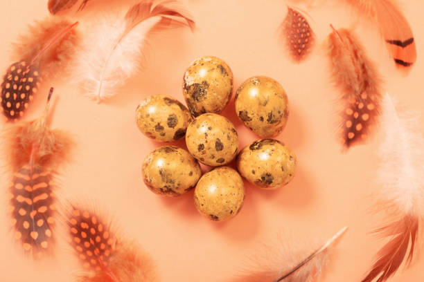 easter golden quail eggs on pastel background