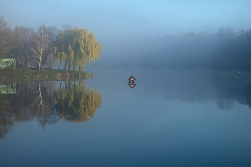 Утиный домик на озере в тумане