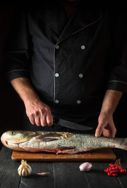 istock Professional chef prepares silver carp in the restaurant kitchen. Preparation for cutting fish with a knife. Work environment on the kitchen table 1453965688