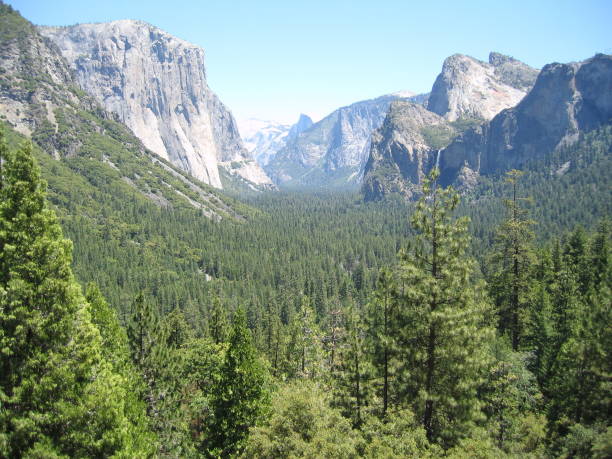 istock Scenic view of a forest in the valley between mountains 1453966613