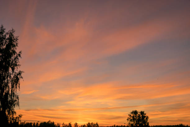 istock colorful sunset skies and black tree silhouettes, summer 1453968229