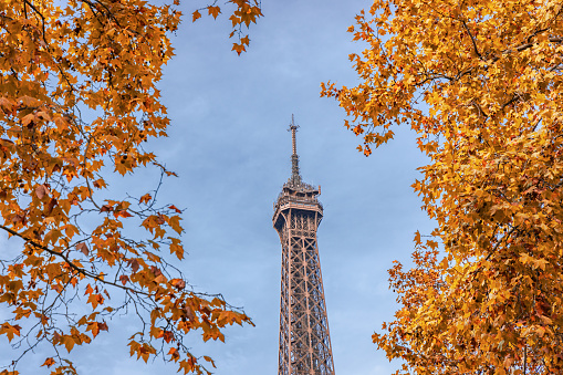View of the Eiffel Tower in autumn surrounded by the warm colors of a sunny October day in Paris, France