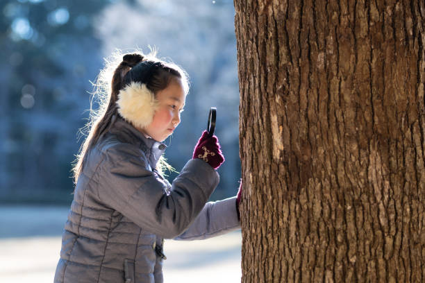 Girl looking at a tree with a magnifying glass