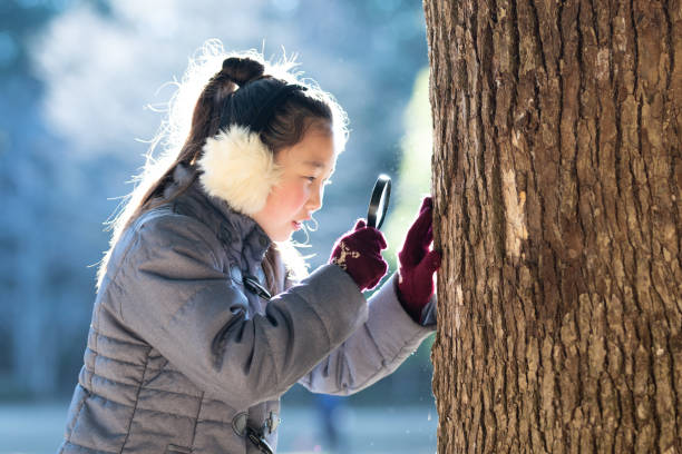 istock Girl looking at a tree with a magnifying glass 1453970562