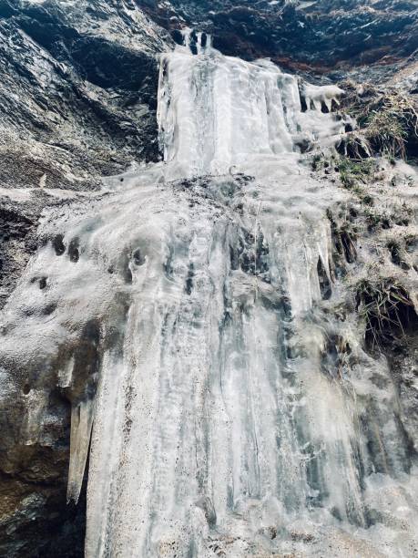 istock Ice ice baby 1453970750